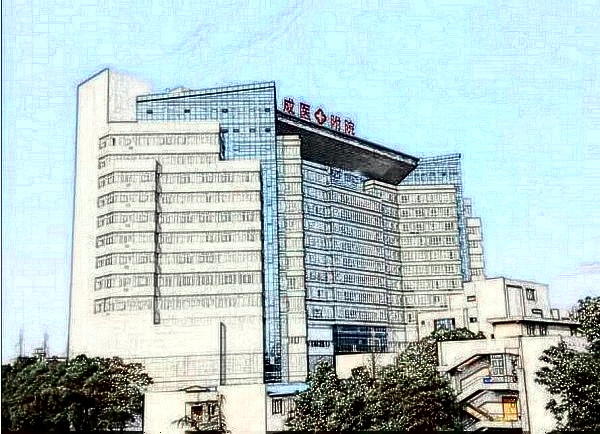 成都中醫(yī)藥大學(xué)附屬醫(yī)院(四川省中醫(yī)院)整形美容科
