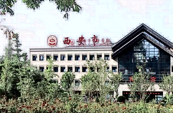 西安市中醫(yī)醫(yī)院祛斑醫(yī)生哪個好?價格多少?