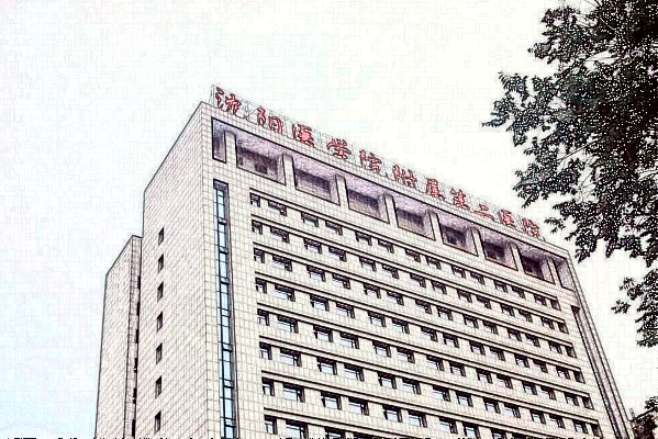 2024沈陽(yáng)二院假體隆胸怎么樣_附醫(yī)生名單