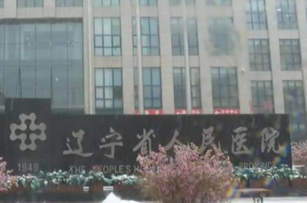 遼寧省人民醫(yī)院根管費用多少?整形日記全過程