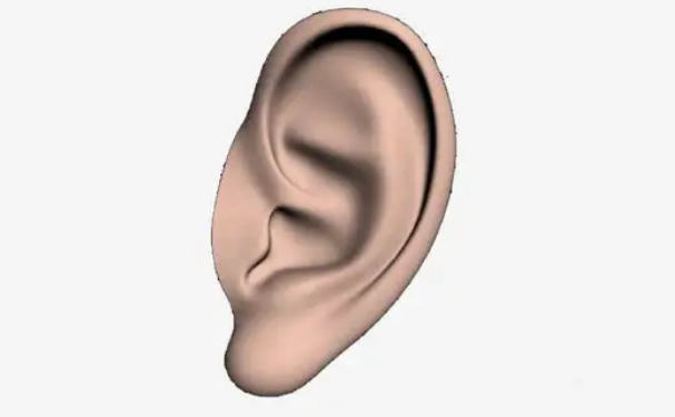 南京明基醫(yī)院耳朵整形術(shù)后半年案例揭秘|技術(shù)亮點(diǎn)怎么樣?價(jià)格多少