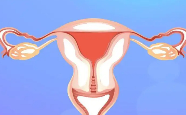 青島新陽光婦產(chǎn)醫(yī)院陰道松弛手術(shù)術(shù)后一年案例欣賞&價格查詢?