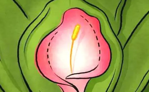 蘇州薇琳美容醫(yī)院縮陰手術(shù)價(jià)目一覽表?技術(shù)評(píng)價(jià)&三個(gè)月案例恢復(fù)過程