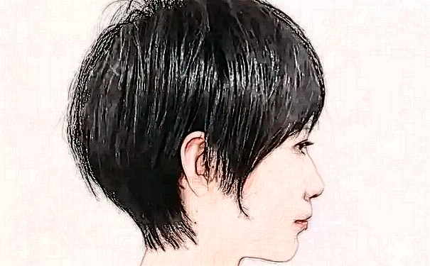 成都美萊醫(yī)學美容醫(yī)院植發(fā)術后半年經(jīng)典案例&價格明細?