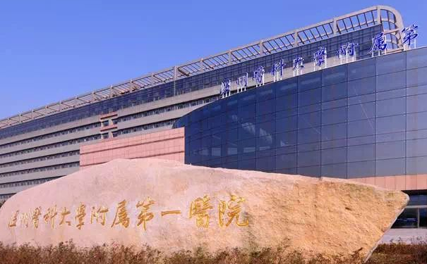 溫州醫(yī)科大學附屬第一醫(yī)院杯狀耳矯正案例反饋&技術怎么樣?