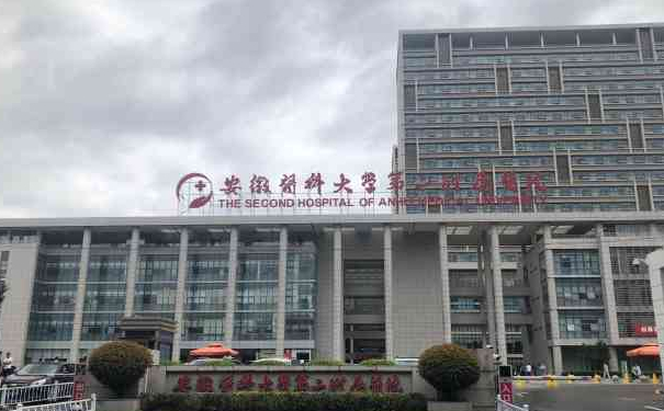 安徽醫(yī)科大學第二附屬醫(yī)院李紅紅v臉提升手術怎么樣?需要多少錢?術后6個月案例&技術特色