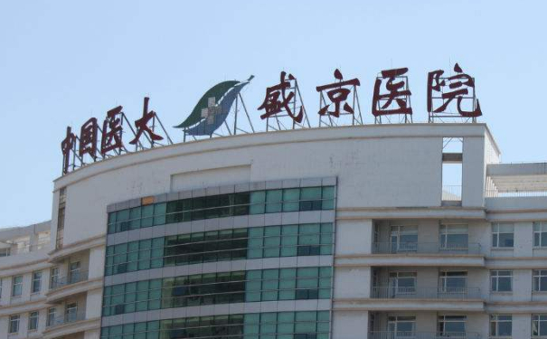 中國醫(yī)科大學(xué)附屬盛京醫(yī)院王宇令兩腮凹陷填充收費(fèi)標(biāo)準(zhǔn)?技術(shù)風(fēng)格&案例變化