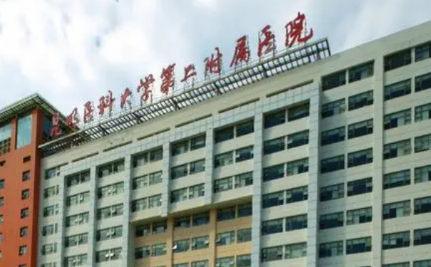 昆明醫(yī)科大學第二附屬醫(yī)院隆胸案例曝光&技術怎么樣?