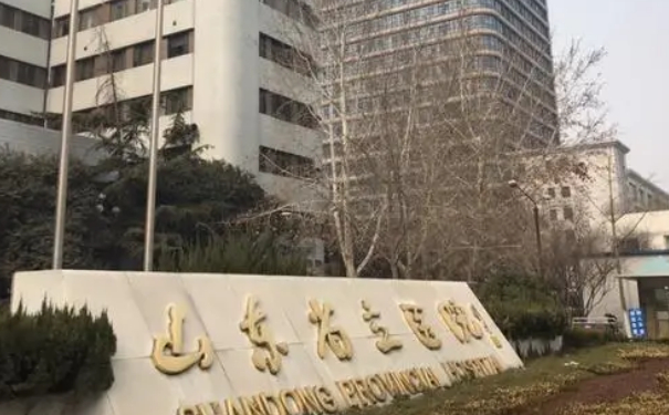 山東省立醫(yī)院巨乳縮小手術(shù)一般多少錢?技術(shù)評(píng)測&術(shù)后120天案例